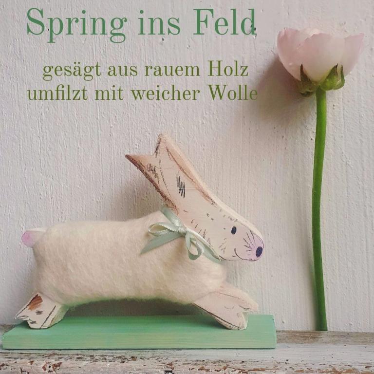 spring_ins_feld